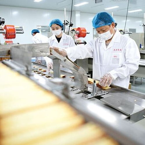 杭州销售食品级润滑油FDA润滑油价格